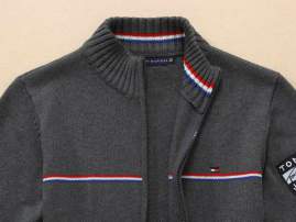 Picture of Tommy Sweaters _SKUTommyM-2XLhtz611748821